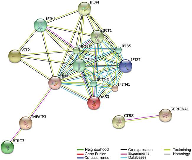 Predicted interaction networks of genes differentially expressed during HHV-6A infection.