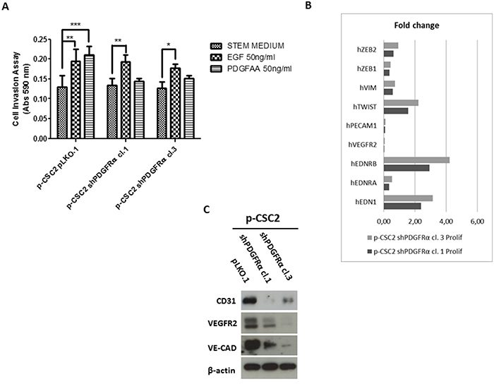 shPDGFR&#x03B1;-CSC clones display a significant reduction of invasiveness and angiogenesis compared to pLKO.1.