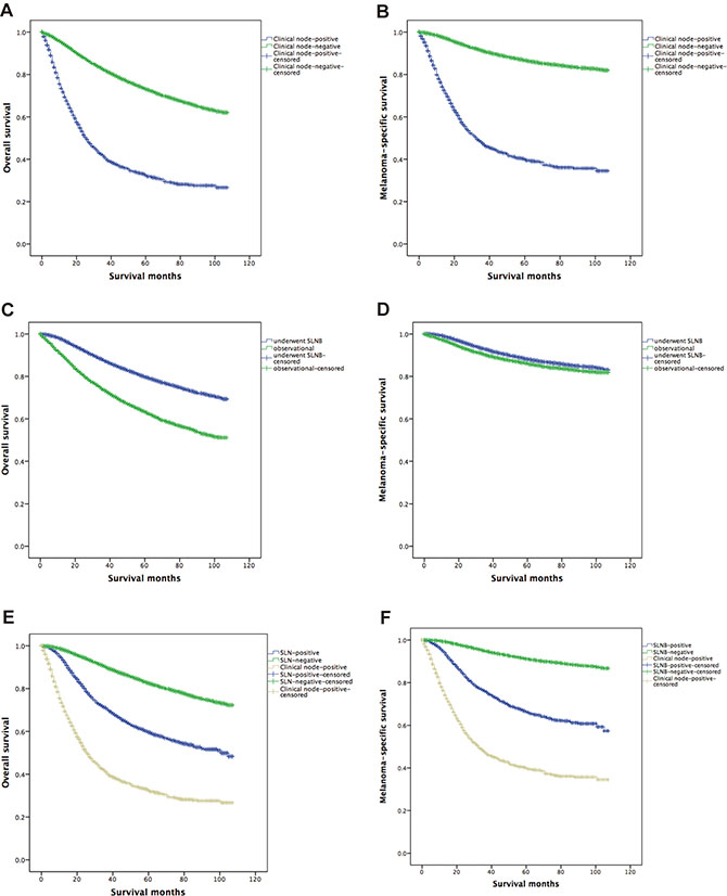 Kaplan-Meier curves are shown for overall survival and melanoma-specific survival.