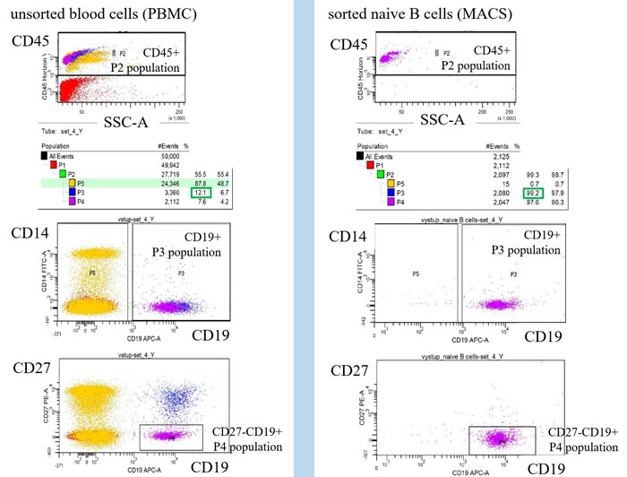 Monitoring of cell population homogeneity by flow cytometry.