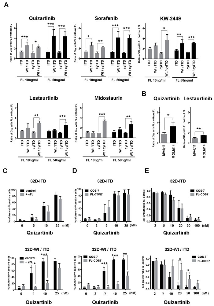 FL impairs effects of FLT3 inhibitors on Wt-FLT3 co-expressing cells.