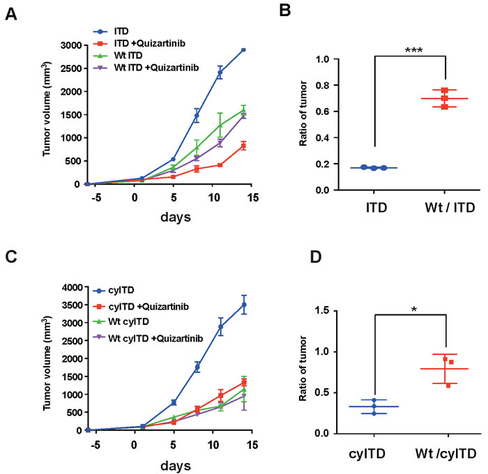 FL attenuate anti-leukemia effect of FLT3 inhibitors