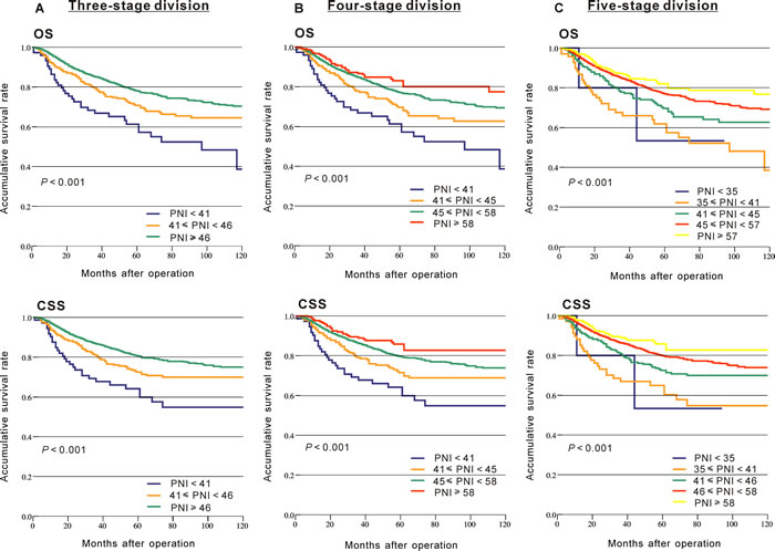 Kaplan-Meier analysis of the overall survival (OS) and cancer-specific survival (CSS) for a different number of stage divisions which indicated smallest Bayesian Information Criterion value (two-stage division see Figure 1).