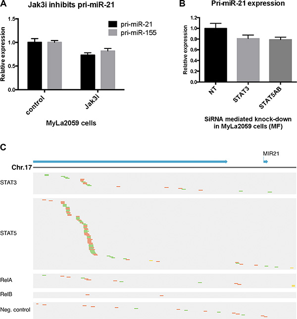 Constitutive pri-miR-21 expression is regulated via JAK3/STAT3/STAT5 in the malignant T cell line MyLa2059.