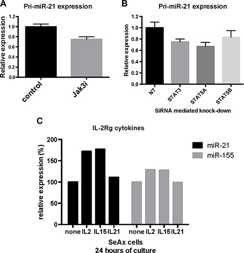 JAK3/STAT3 and STAT5 regulate miR-21 expression in cytokine dependent T cells.
