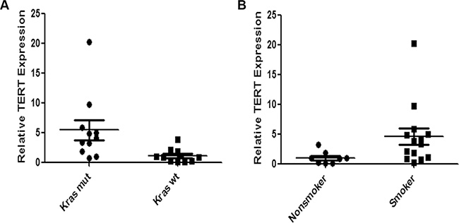 Expression of TERT mRNA is higher in Krasmut lung adenocarcinoma than in Kraswt lung adenocarcinoma.