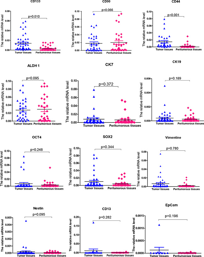 The mRNA expression levels of 12 putative CSC-related markers in tumor tissues and peritumoral tissues of patients with HCC.