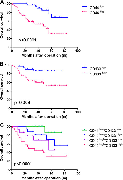 Kaplan-Meier survival curves showing survival time differences in patients with (A) high or low CD44 expression, (B) high or low CD133 expression and (C) co-expression of CD133 and CD44 using immunohistochemistry staining.