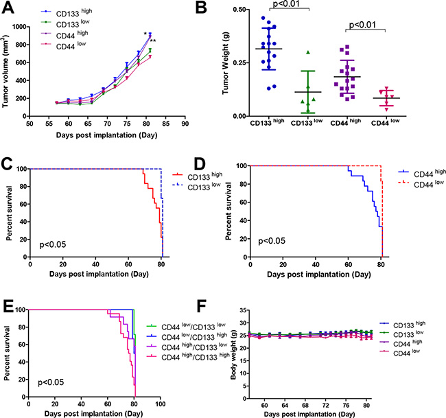 Tumor growth, tumor weight, Kaplan-Meier survival curves and the body weight changes of mice in PDX models.