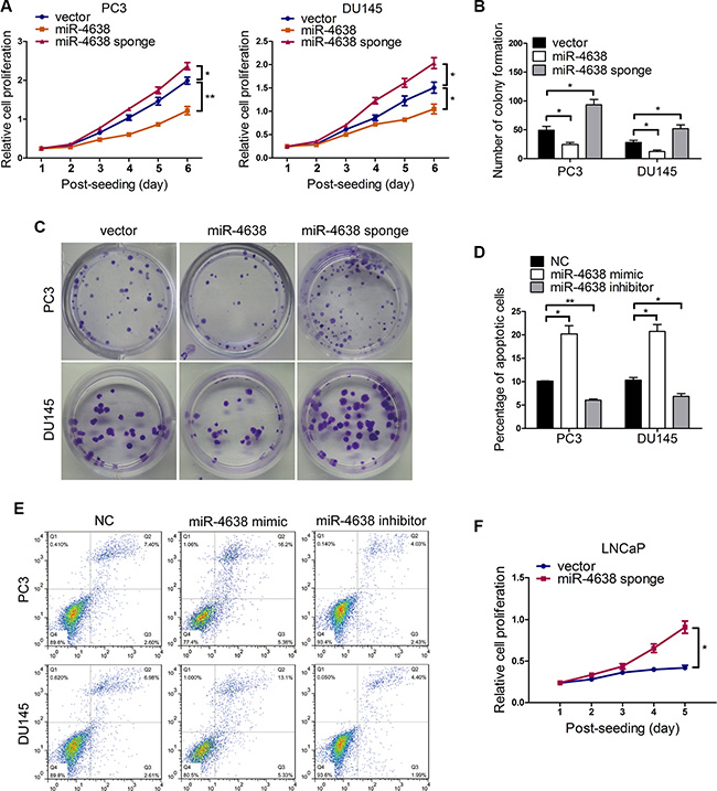 The effects of miR-4638-5p on cell proliferation, colony formation, apoptosis and the development of castration resistance.