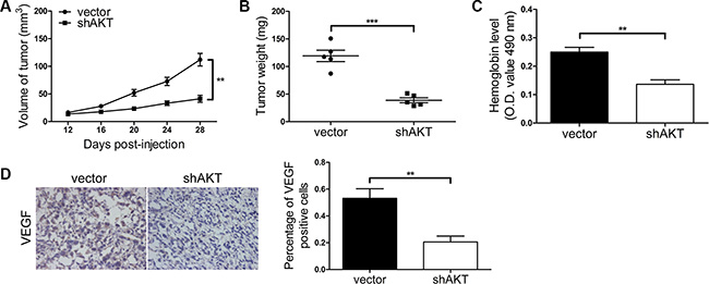 PI3K/AKT signaling pathway mediates Kidins220-induced tumorigenesis and angiogenesis in vivo.