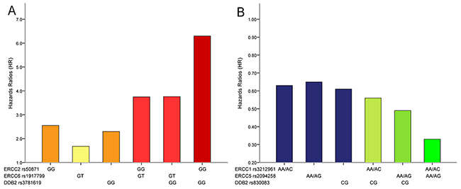 Combined detection of NER pathway polymorphisms could more effectively predict survival of gastric cancer patients.