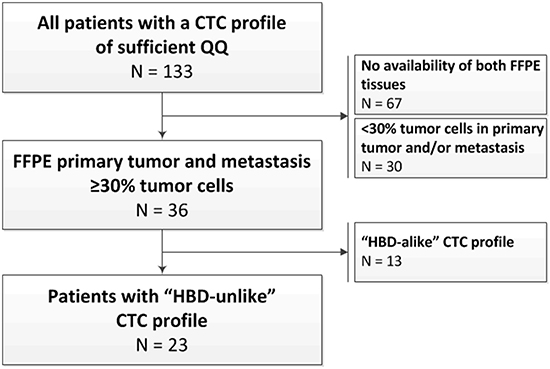 Study flowchart and the selection of patients for the analyses.