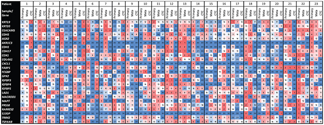 Heatmaps showing the ranks per gene, per sample, per patient.