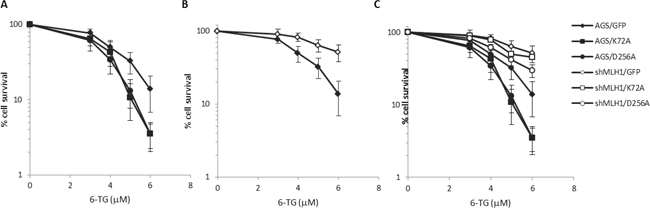 Survival response to 6-TG of Pol&#x03B2; mutant over-expressing gastric cancer cells with/without down-regulation of MLH1.