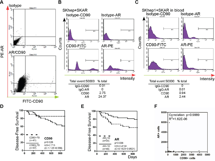 Detection of CTC AR, and CTC CD90+ in patient blood.