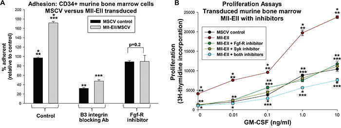 Mll-Ell increased adhesion and proliferation of murine myeloid progenitor cells.