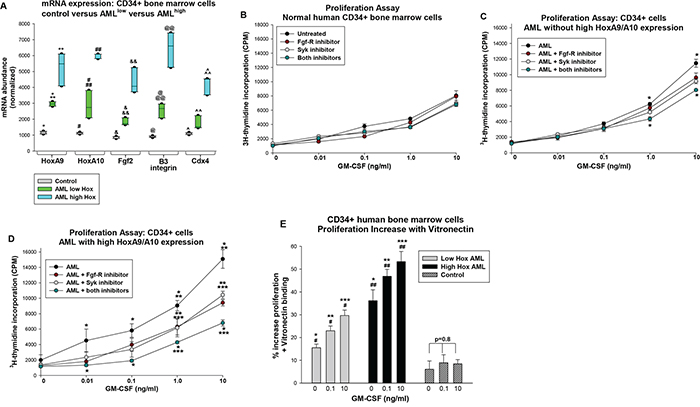 Expression of HoxA9 and HoxA10 in human AML cells correlated with sensitivity to inhibition of Fgf-receptor and/or Syk kinase.