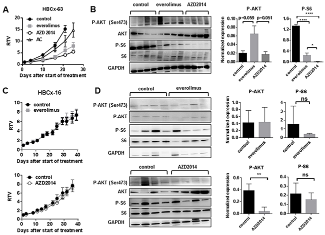 Treatment of HBCx-63 and HBCx-16 by the dual mTORC1/mTORC2 inhibitor AZD2014 as compared to everolimus