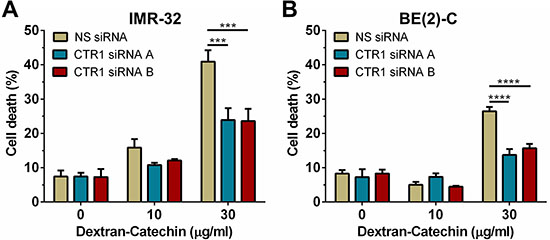 Knockdown of CTR1 in IMR-32 and BE(2)-C cells significantly reduced their sensitivity to Dextran-Catechin.