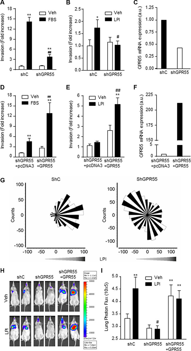 GPR55 confers pro-metastatic advantages on breast cancer cells