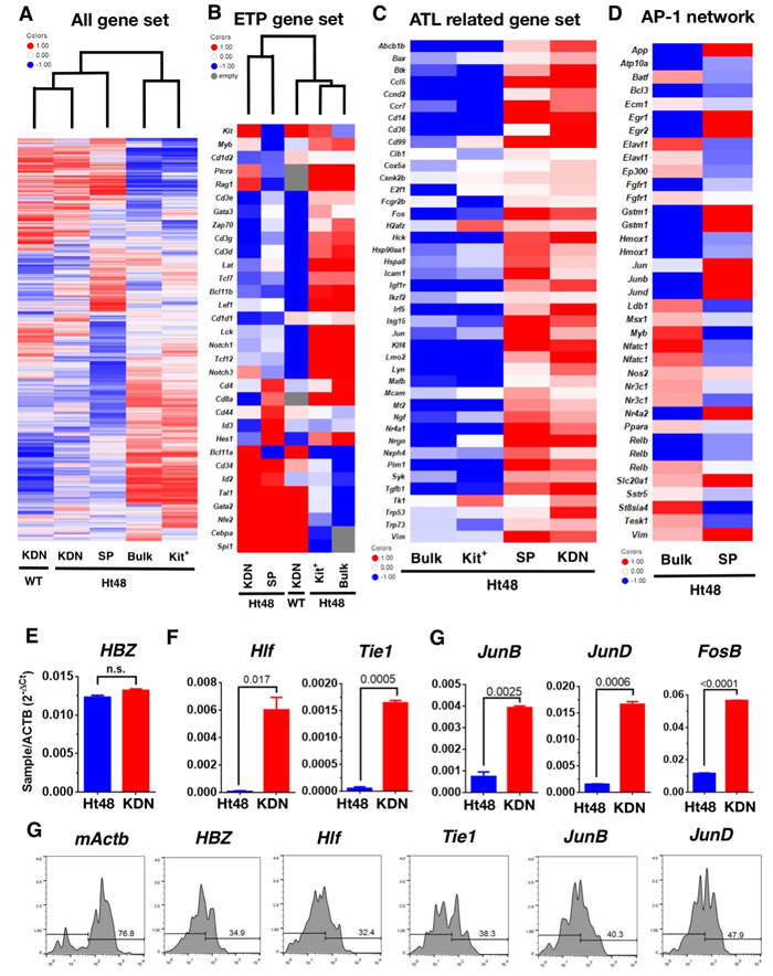 Global gene expression profile of Ht48 cells.