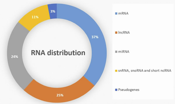 Distribution of RNA subtypes in human genome.