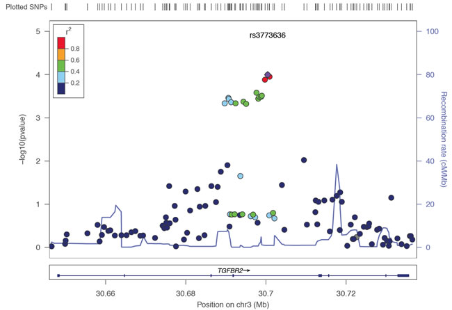 Linkage disequilibrium structure and regional association map of