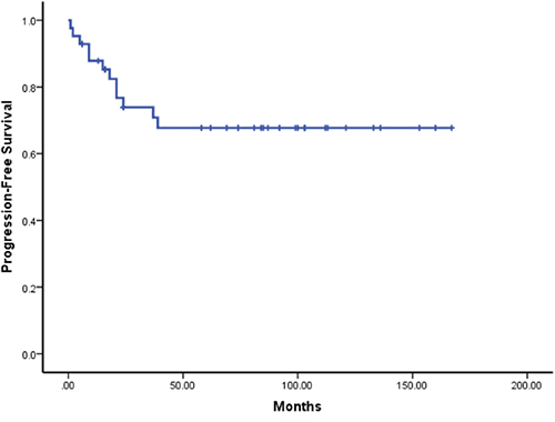 Kaplan-Meier survival Kaplan curves for Progression-free Survival of 42 cases.