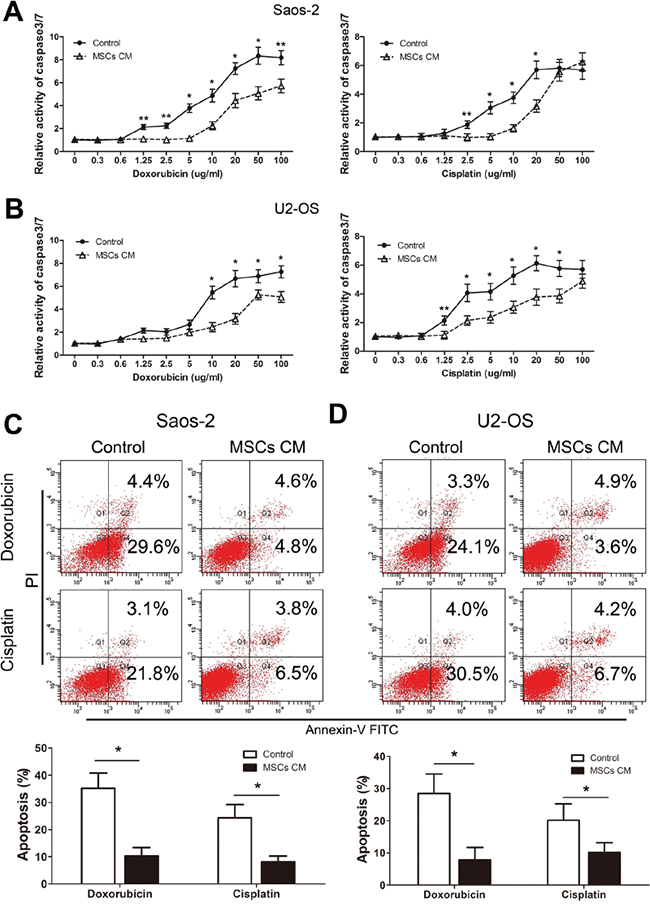 MSCs protect osteosarcoma cells from drug-induced apoptosis.
