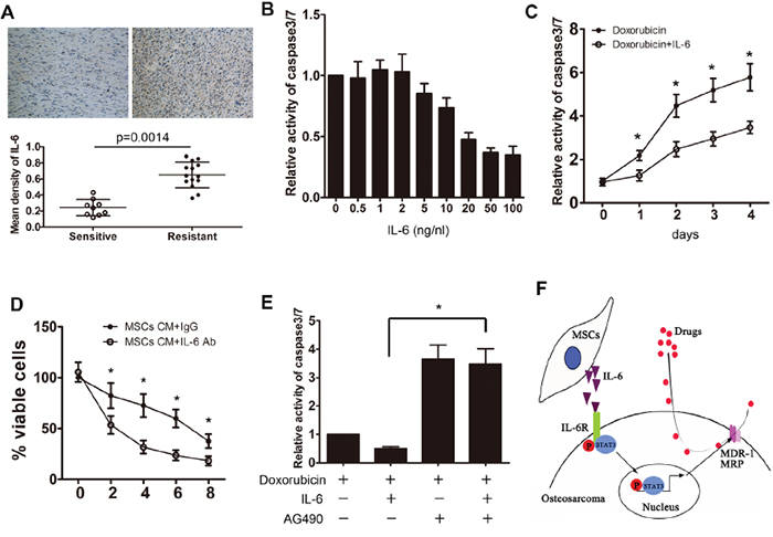 MSC-induced resistance is mediated by the release of IL-6.