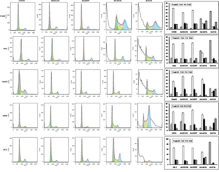 Ad-DC315-mE1A or Ad-DC315-E1A affected cell cycle distribution in different manners.