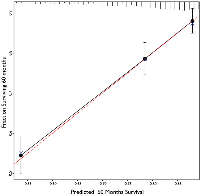 Calibration plot of 5 years overall survival prediction model.