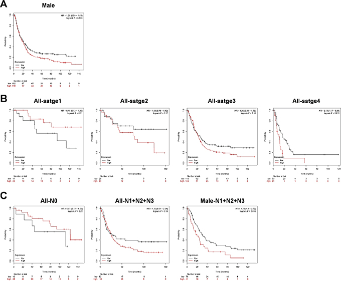 Survival rate of WEE1 expression is detected in gastric cancer patients using the Kaplan-Meier Plotter.