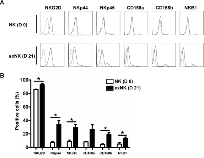 NK cell Phenotyping on day 0 and day 21.