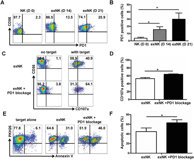 PD1 expression on expanded NK cells, and PD1 blocking enhanced exNK cell degranulation and cytolytic activity.