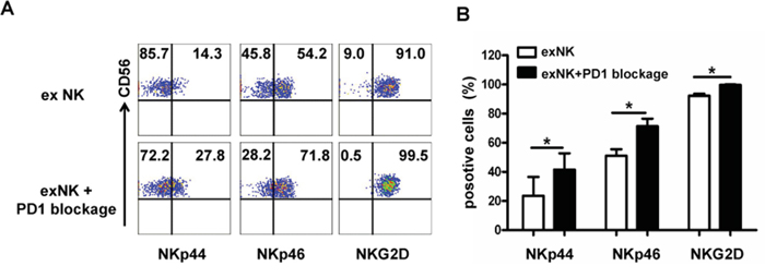 PD-1 blocking elevated activating receptor expression on expanded NK cells.