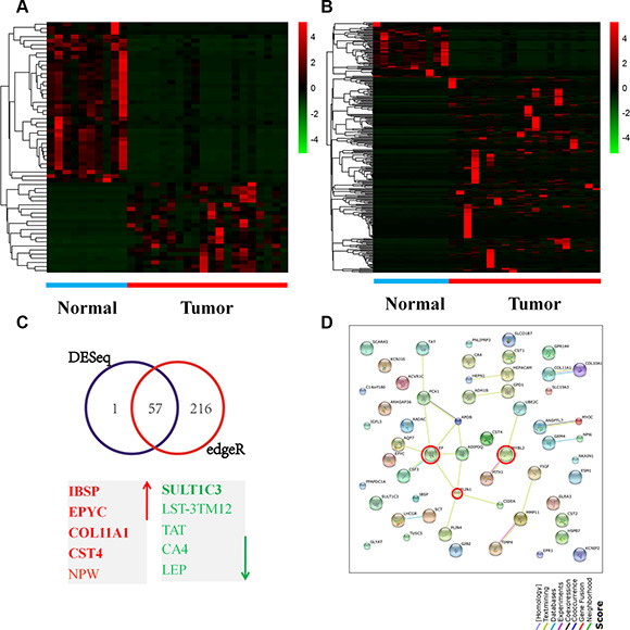 Gene expression patterns in breast cancer tissues.
