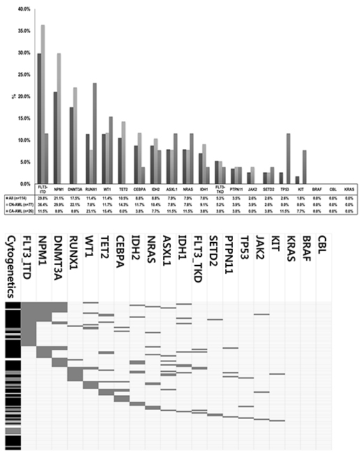 Mutational profiles of AML cases analyzed.