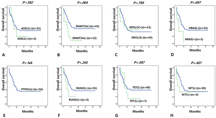 Overall survival according to gene mutations in intermediate group (adult de novo CN-AML with other than mutated NPM1 without FLT3-ITD) according to the ELN classification.