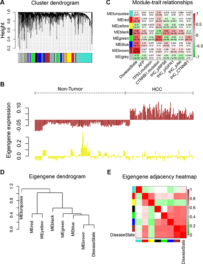 Weighted Correlation Network Analysis of metabolism related gene expression profiles of HCC and non-tumor tissues.