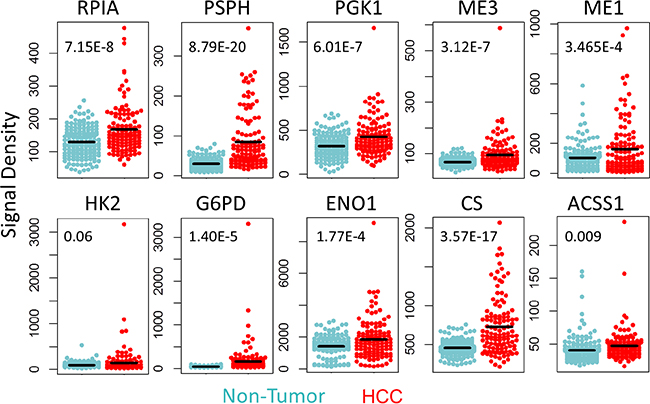 Up-regulated carbon metabolism genes verified in microarray data.