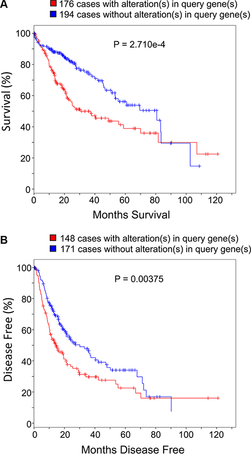 Carbon metabolism genes expression pattern influences HCC patient survival and prognosis.