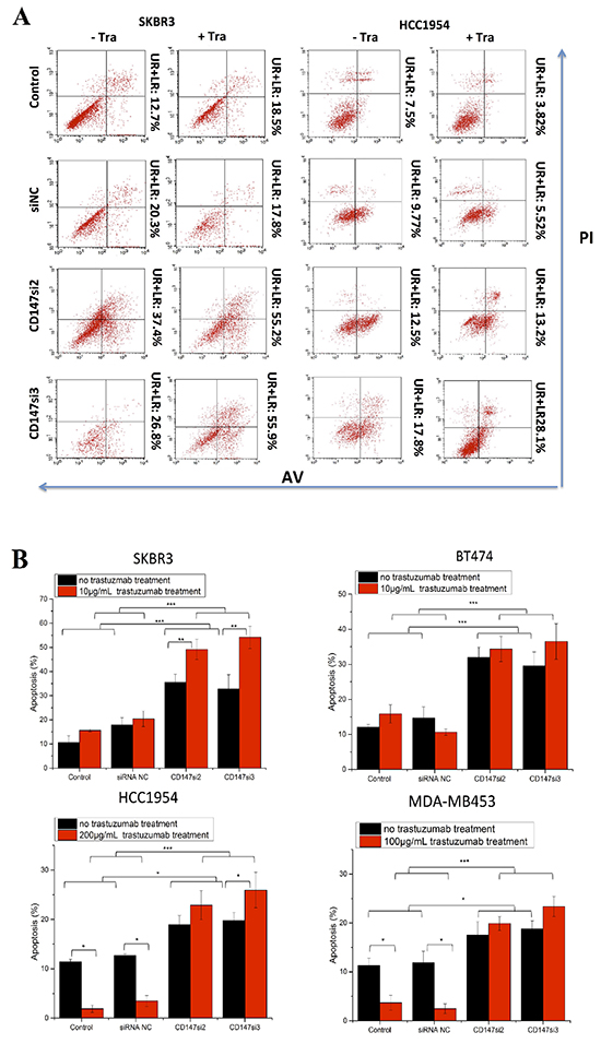 CD147 knockdown alters cell apoptosis in HER2-positive cancer in vitro after trastuzumab treatment.
