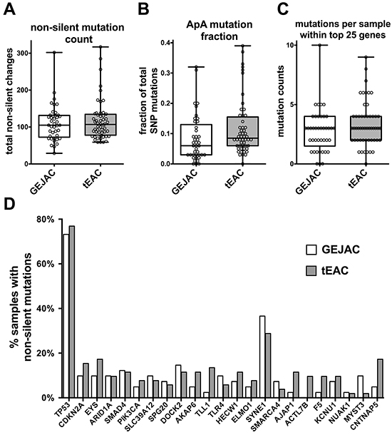 Mutation profiling comparison of GEJAC and tEAC.