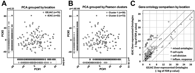 mRNA profiling comparison of GEJAC and tEAC.