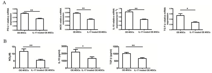 IL-17 down-regulates the suppressive factors of OE-MSCs.