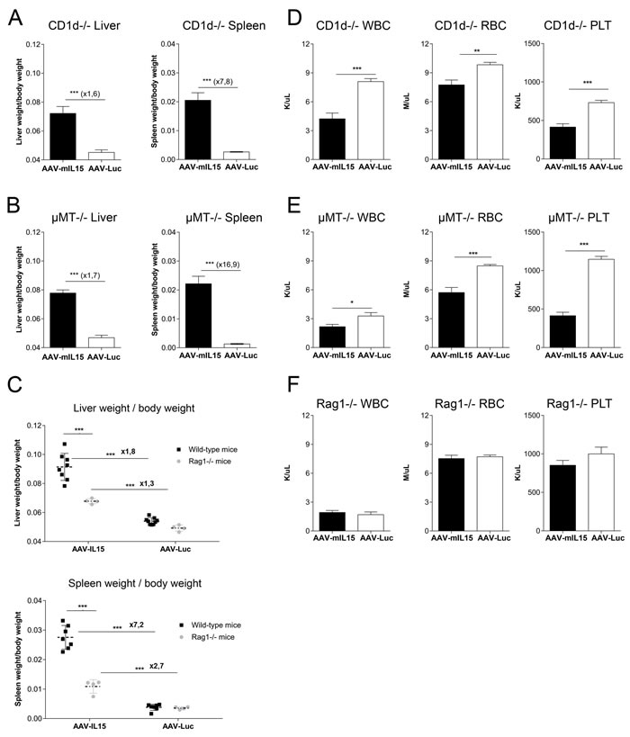Analysis of splenomegaly, hepatomegaly and hematological toxicity in CD1d-, &#x3bc;MT- and RAG1- deficient mice after AAV-mIL15 expression.
