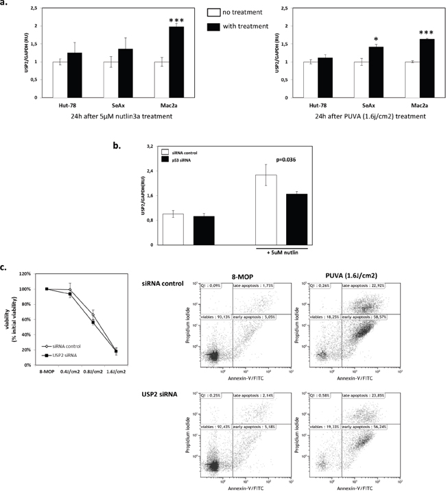 The upregulation of USP2 is p53-dependent.