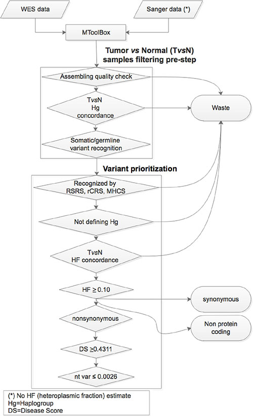 Variant analysis and prioritization workflow: the main steps useful to the variant analysis and prioritization phases are based on the implementation of MToolBox pipeline with various filters and cutoffs.